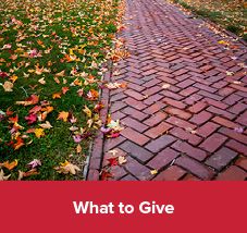 A brick path with fall leaves scattered over it. What to Give 